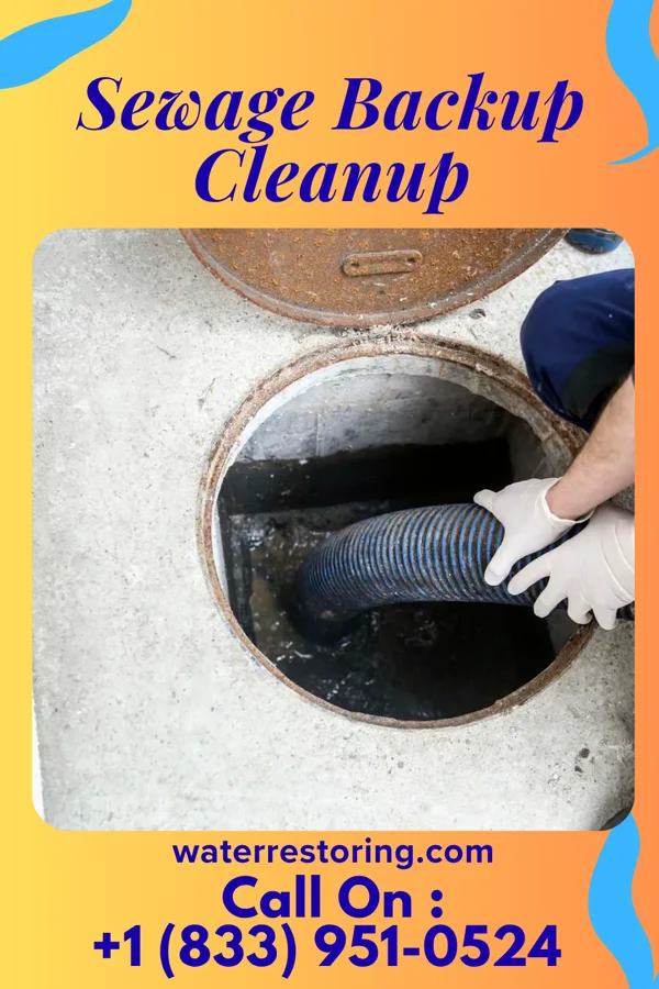 Sewage Backup Cleanup in Cedar Crest, OK