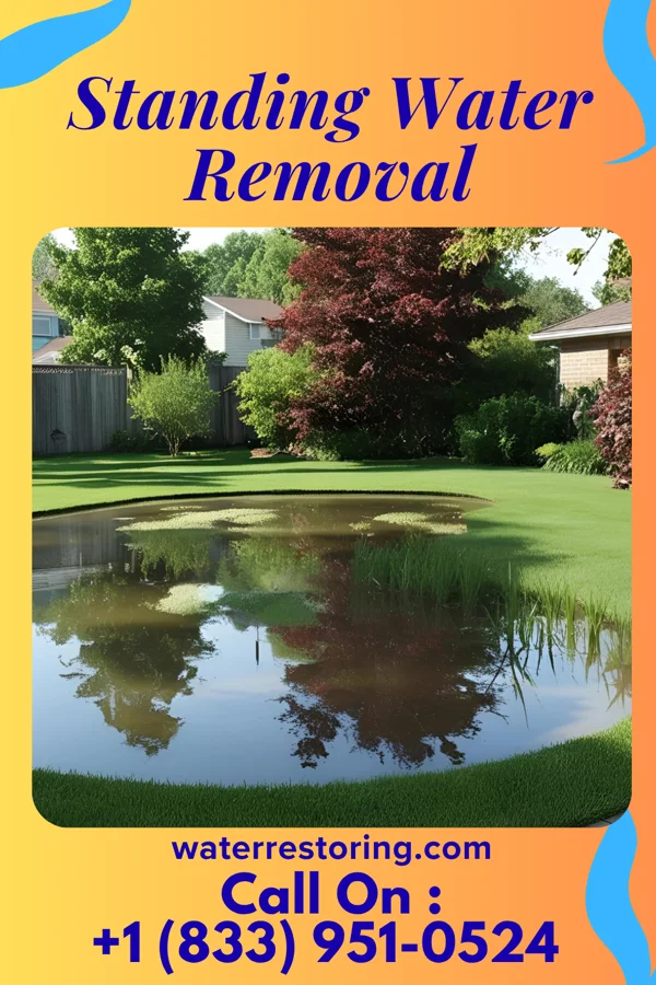 Standing Water Removal in Cedar Crest, OK